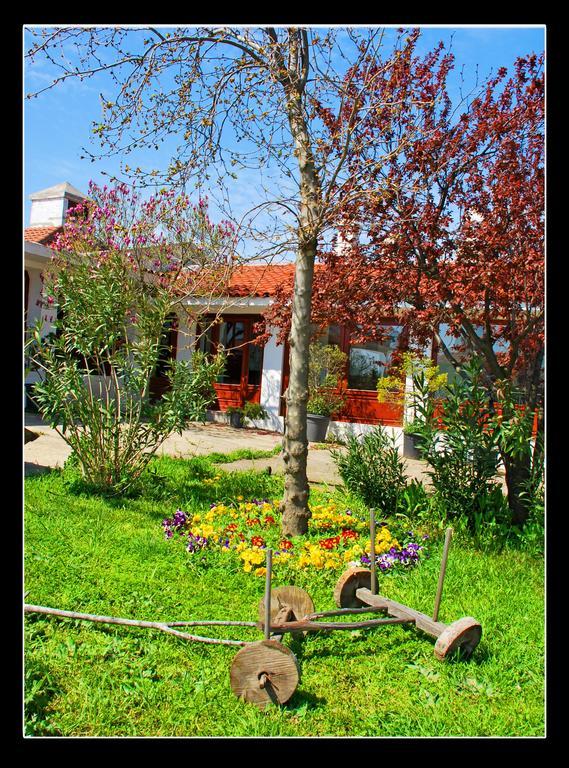 Villafe Catalca Екстер'єр фото